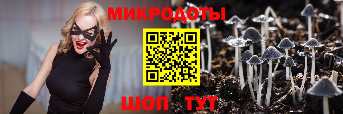 Псилоцибиновые грибы Psilocybe  Вход с VPN  Мегион 